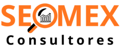 seodemexico.com
